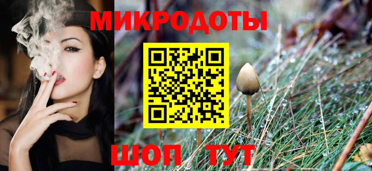 Псилоцибиновые грибы мухоморы Новоалтайск