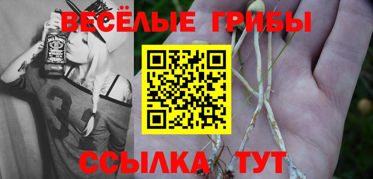 Псилоцибиновые грибы мухоморы  Вход с VPN  Новоалтайск 